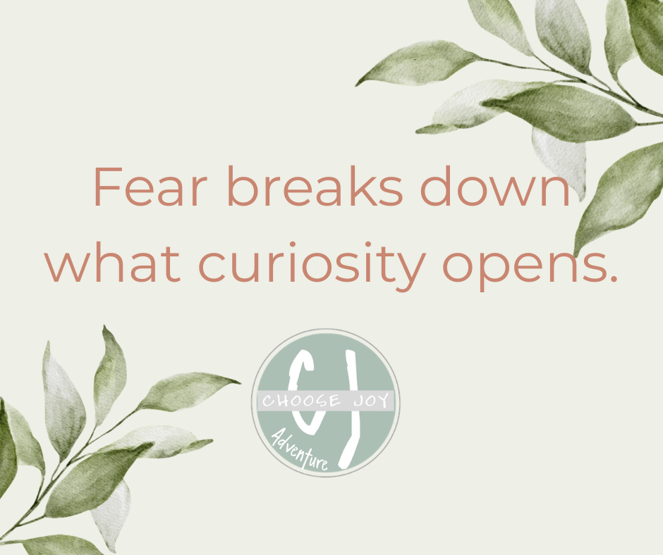 Curiosity Over Fear: Unpacking Life With God